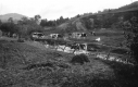 Beaver Meadow Brook Farm