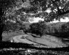 Rural Road in The Fall