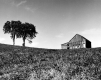 Weathered Barn in Autumn