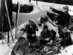 Winter Picnic