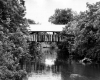 Covered Bridge Over River