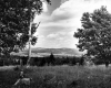 View of Open Fields and Forests