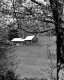 Sunnybrook Farm