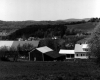 Farm Houses in Hills
