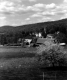Apple Tree and Town