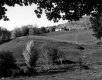 House and Pasture