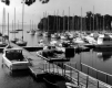 Shelburne Harbor