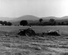 Hay Harvesting