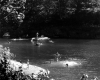 Swimming in the Mad River