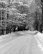 Rural Road in Winter