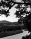 Car in Rural Landscape