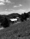 Farm Along Rural Road