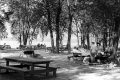 Sand Bar Picnic Area