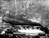 Dam on Stevensville Brook