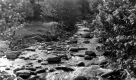 Boulders in Stream