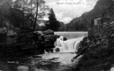 Bartlett's Falls