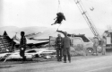 Cow Being Lifted Out of Barn