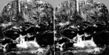 Small Waterfall Along a Brook