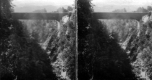 Bridge Above the Quechee River