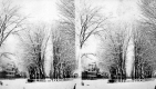 Snow in Village Park