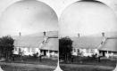 House and Yard