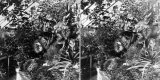 Greenhouse