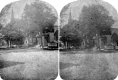 Houses and Trees