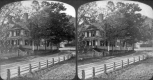 House Behind Trees
