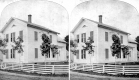 House and Young Trees