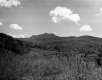 Camel's Hump Mountain