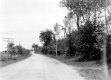 Utility Lines Along a Rural Road