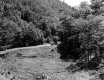 Truck on Old Road