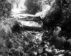 Damaged Road
