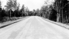 Rural Road in Forest