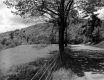 Rural Road Before Pavement