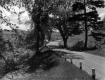 Curve in Old Road