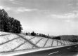 Hillslope after remediation