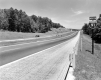 Forest Around Interstate 91