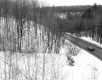 Forested Road in the Winter
