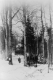 Horses With Sap Collection Sled