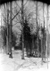 Tapped Maple Trees and Sugarhouse