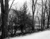 House Behind Trees
