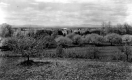 Apple Orchard Near Lake Champlain