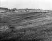 Farm Fields on Hills