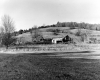 Dilapidated House Among Farm Fields