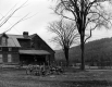 House and Elm Trees
