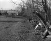House and Front Lawn