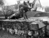 Boar Statue