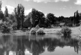 Buildings and Pond
