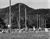 Tree Felling Contest